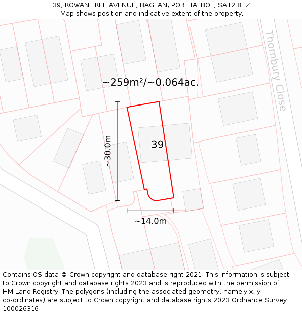 39, ROWAN TREE AVENUE, BAGLAN, PORT TALBOT, SA12 8EZ: Plot and title map