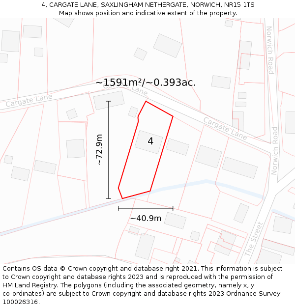 4, CARGATE LANE, SAXLINGHAM NETHERGATE, NORWICH, NR15 1TS: Plot and title map