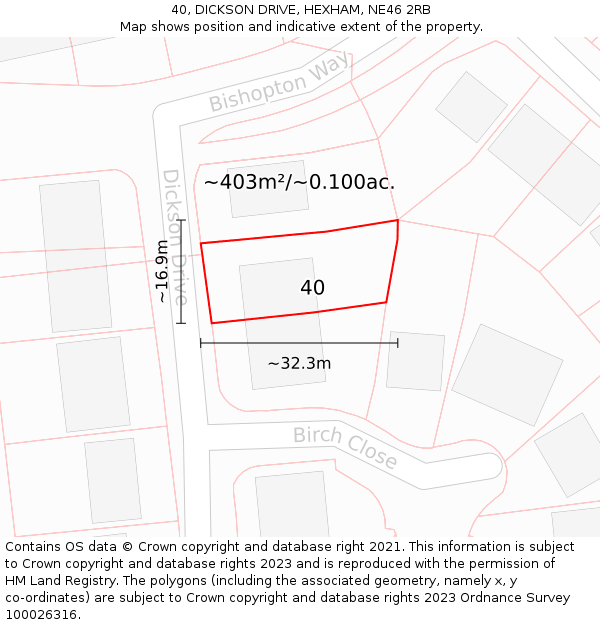 40, DICKSON DRIVE, HEXHAM, NE46 2RB: Plot and title map