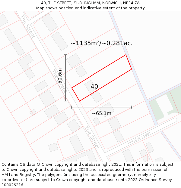 40, THE STREET, SURLINGHAM, NORWICH, NR14 7AJ: Plot and title map