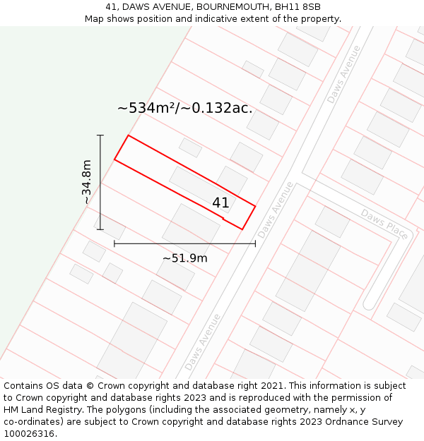 41, DAWS AVENUE, BOURNEMOUTH, BH11 8SB: Plot and title map