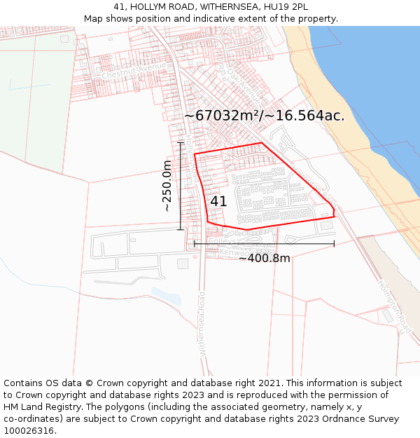 41, HOLLYM ROAD, WITHERNSEA, HU19 2PL: Plot and title map