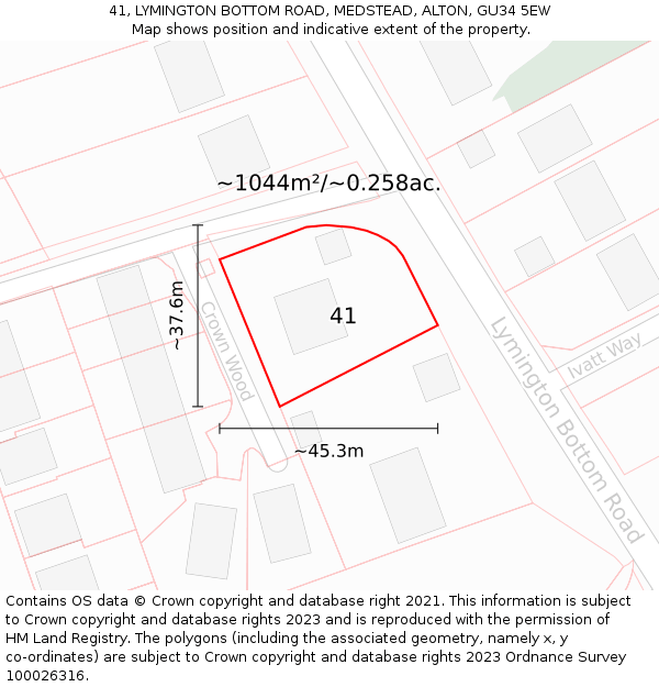 41, LYMINGTON BOTTOM ROAD, MEDSTEAD, ALTON, GU34 5EW: Plot and title map