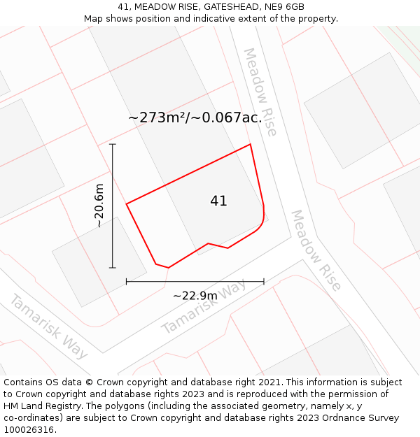 41, MEADOW RISE, GATESHEAD, NE9 6GB: Plot and title map