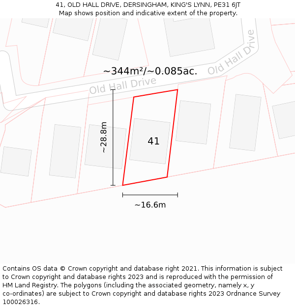 41, OLD HALL DRIVE, DERSINGHAM, KING'S LYNN, PE31 6JT: Plot and title map