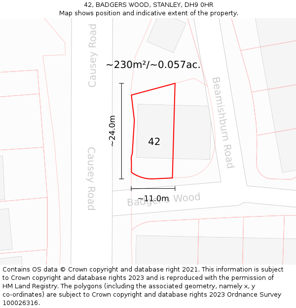 42, BADGERS WOOD, STANLEY, DH9 0HR: Plot and title map