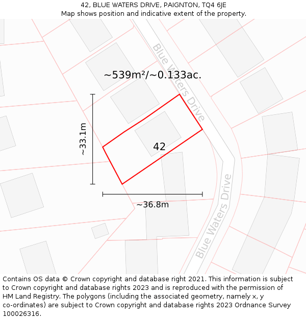 42, BLUE WATERS DRIVE, PAIGNTON, TQ4 6JE: Plot and title map