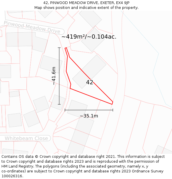 42, PINWOOD MEADOW DRIVE, EXETER, EX4 9JP: Plot and title map