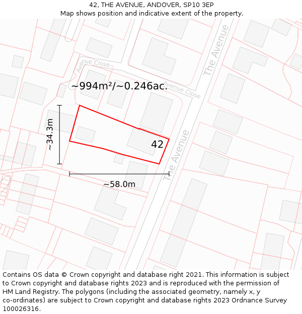 42, THE AVENUE, ANDOVER, SP10 3EP: Plot and title map