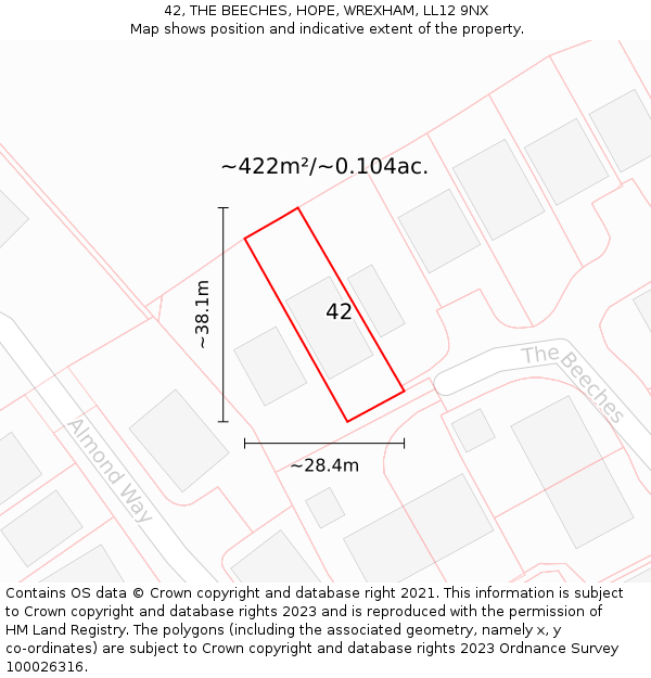 42, THE BEECHES, HOPE, WREXHAM, LL12 9NX: Plot and title map