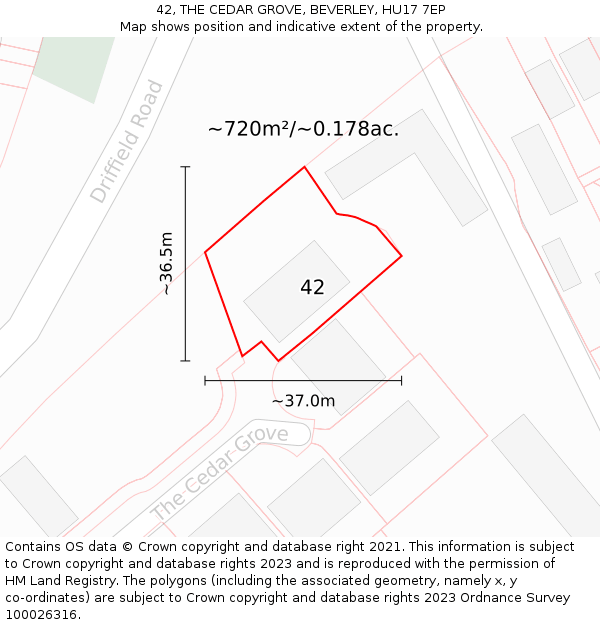 42, THE CEDAR GROVE, BEVERLEY, HU17 7EP: Plot and title map