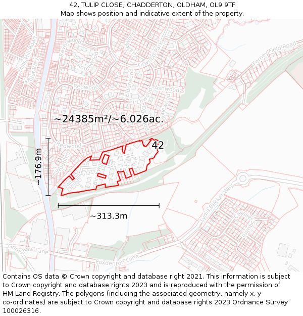 42, TULIP CLOSE, CHADDERTON, OLDHAM, OL9 9TF: Plot and title map