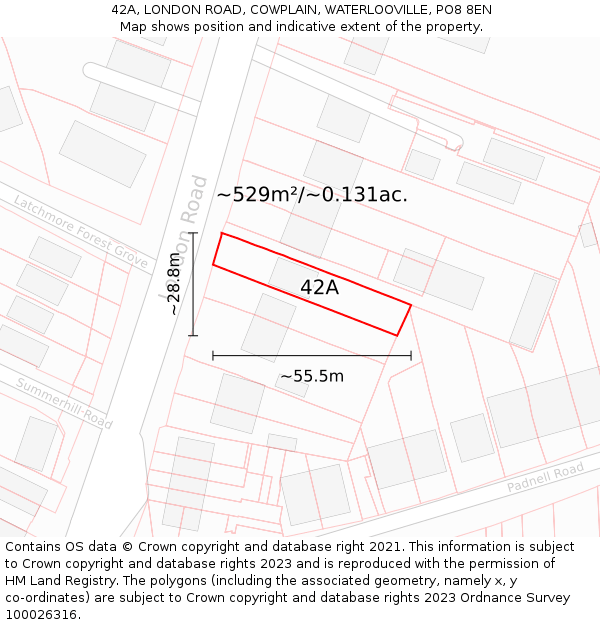 42A, LONDON ROAD, COWPLAIN, WATERLOOVILLE, PO8 8EN: Plot and title map