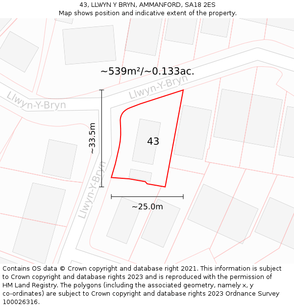 43, LLWYN Y BRYN, AMMANFORD, SA18 2ES: Plot and title map