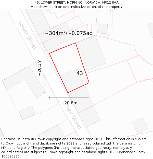 43, LOWER STREET, HORNING, NORWICH, NR12 8AA: Plot and title map