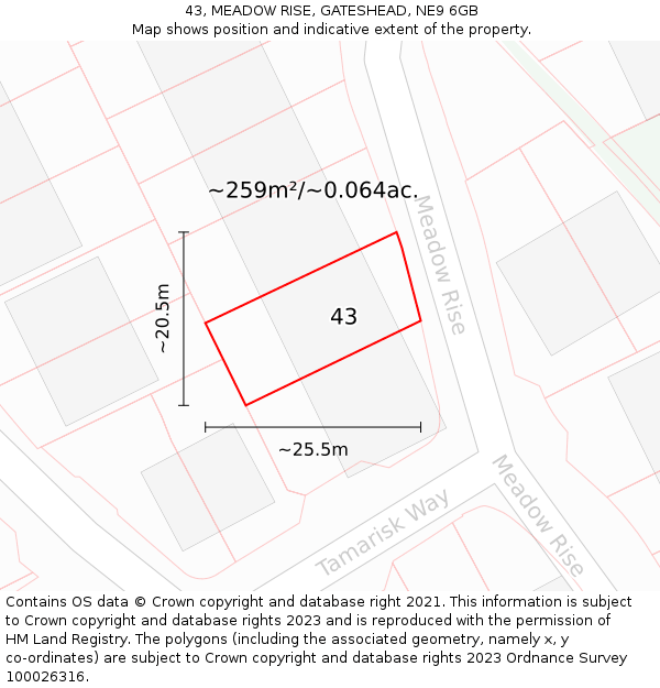 43, MEADOW RISE, GATESHEAD, NE9 6GB: Plot and title map