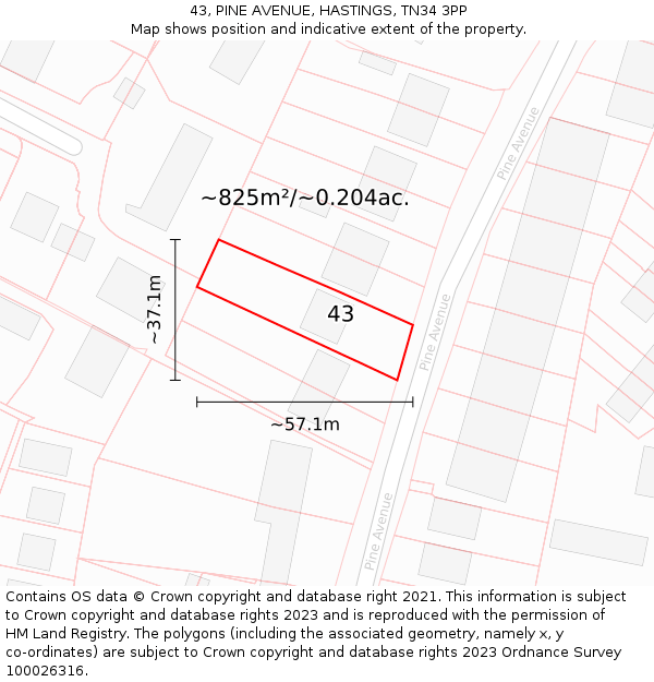 43, PINE AVENUE, HASTINGS, TN34 3PP: Plot and title map