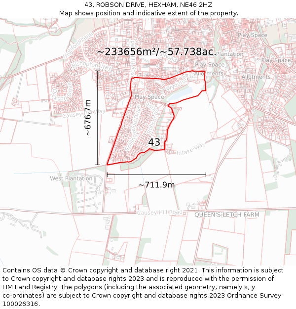 43, ROBSON DRIVE, HEXHAM, NE46 2HZ: Plot and title map