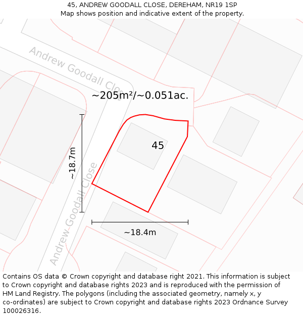 45, ANDREW GOODALL CLOSE, DEREHAM, NR19 1SP: Plot and title map