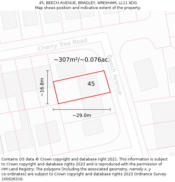 45, BEECH AVENUE, BRADLEY, WREXHAM, LL11 4DG: Plot and title map