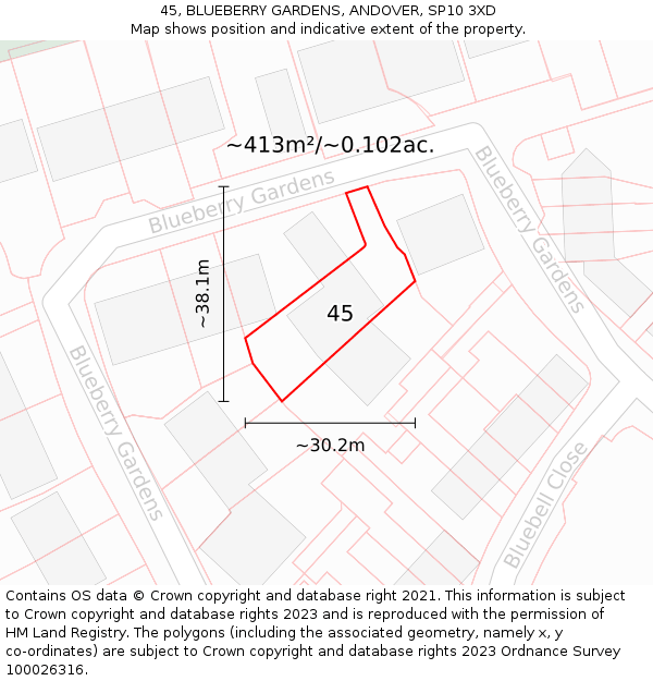 45, BLUEBERRY GARDENS, ANDOVER, SP10 3XD: Plot and title map