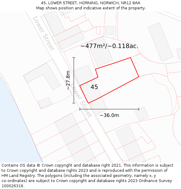 45, LOWER STREET, HORNING, NORWICH, NR12 8AA: Plot and title map