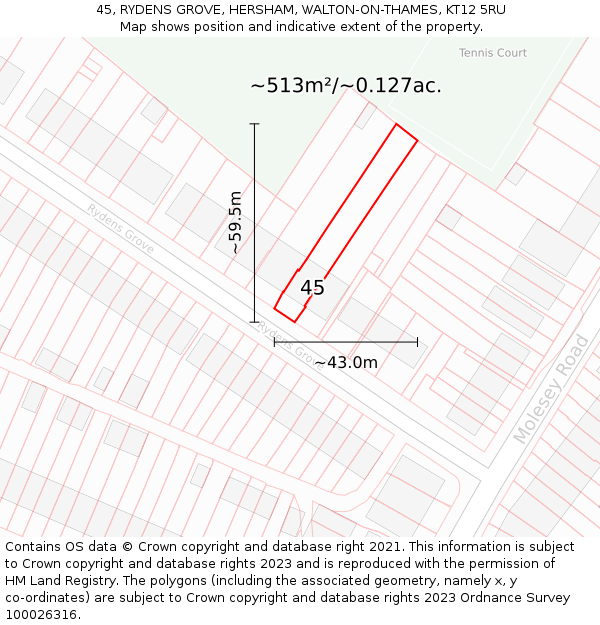 45, RYDENS GROVE, HERSHAM, WALTON-ON-THAMES, KT12 5RU: Plot and title map