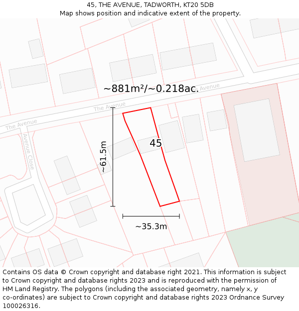 45, THE AVENUE, TADWORTH, KT20 5DB: Plot and title map