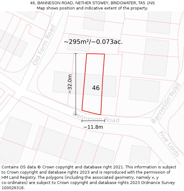 46, BANNESON ROAD, NETHER STOWEY, BRIDGWATER, TA5 1NS: Plot and title map