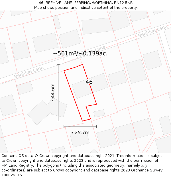 46, BEEHIVE LANE, FERRING, WORTHING, BN12 5NR: Plot and title map