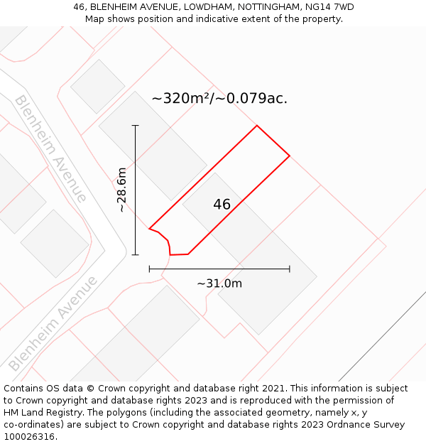 46, BLENHEIM AVENUE, LOWDHAM, NOTTINGHAM, NG14 7WD: Plot and title map