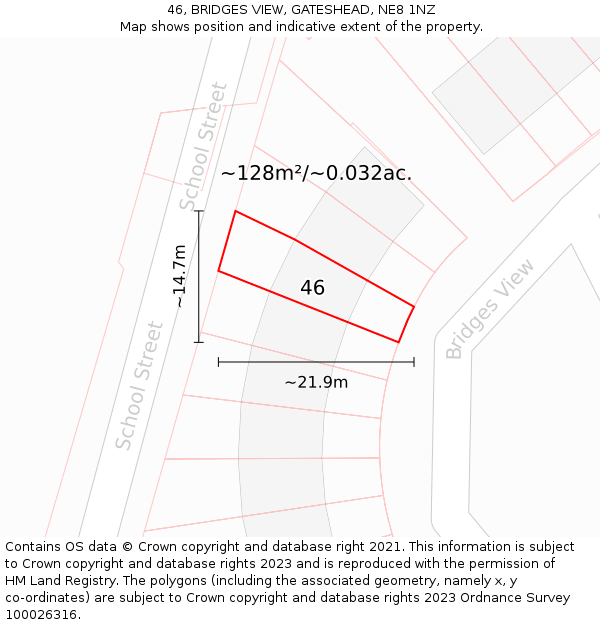 46, BRIDGES VIEW, GATESHEAD, NE8 1NZ: Plot and title map