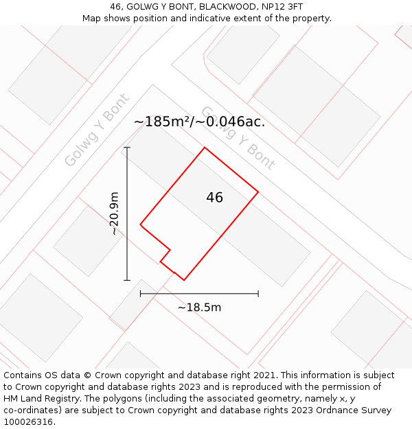 46, GOLWG Y BONT, BLACKWOOD, NP12 3FT: Plot and title map