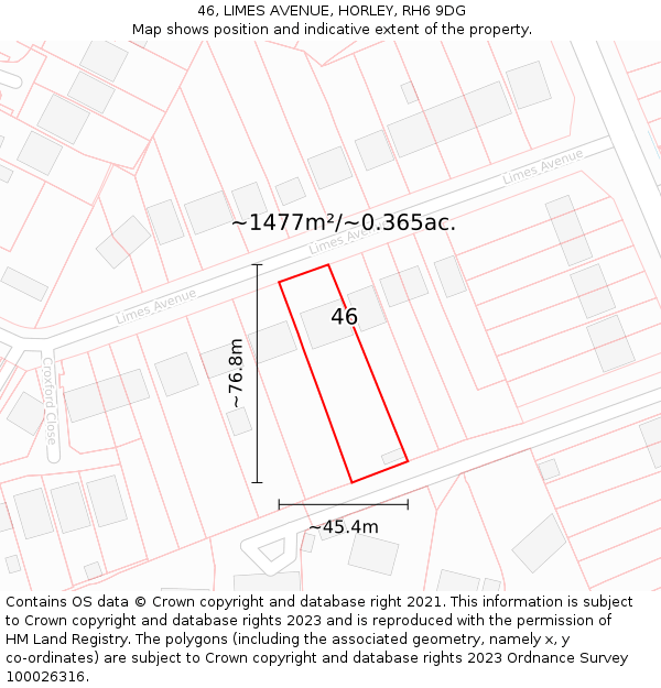 46, LIMES AVENUE, HORLEY, RH6 9DG: Plot and title map