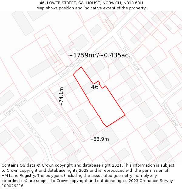 46, LOWER STREET, SALHOUSE, NORWICH, NR13 6RH: Plot and title map