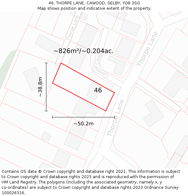 46, THORPE LANE, CAWOOD, SELBY, YO8 3SG: Plot and title map