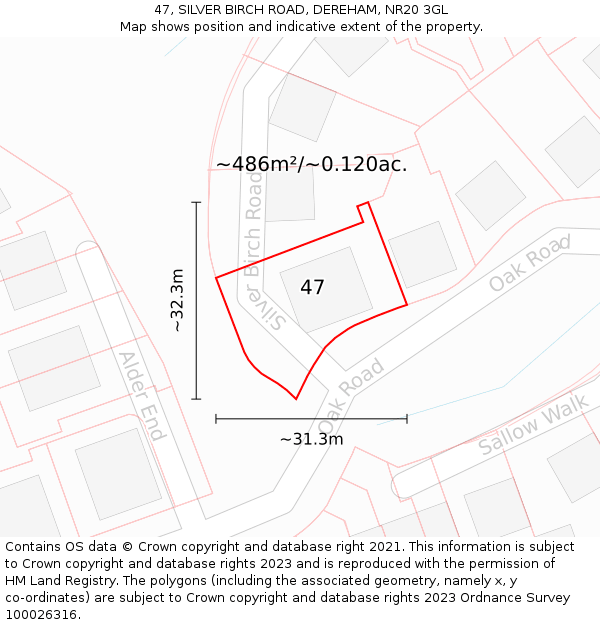 47, SILVER BIRCH ROAD, DEREHAM, NR20 3GL: Plot and title map