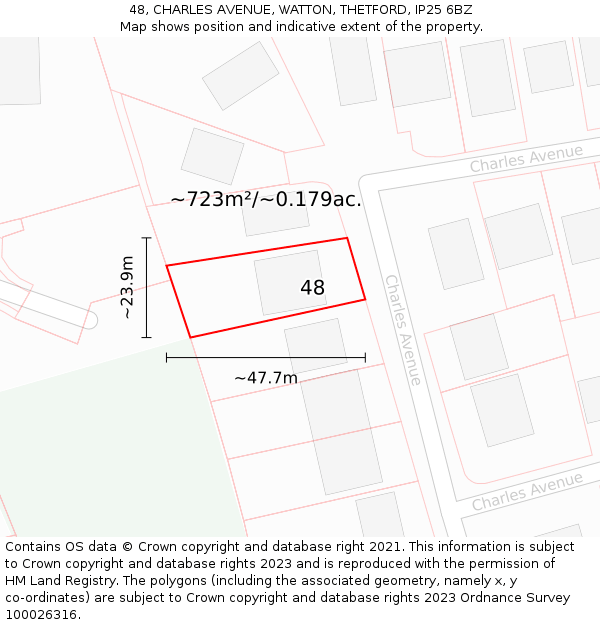 48, CHARLES AVENUE, WATTON, THETFORD, IP25 6BZ: Plot and title map