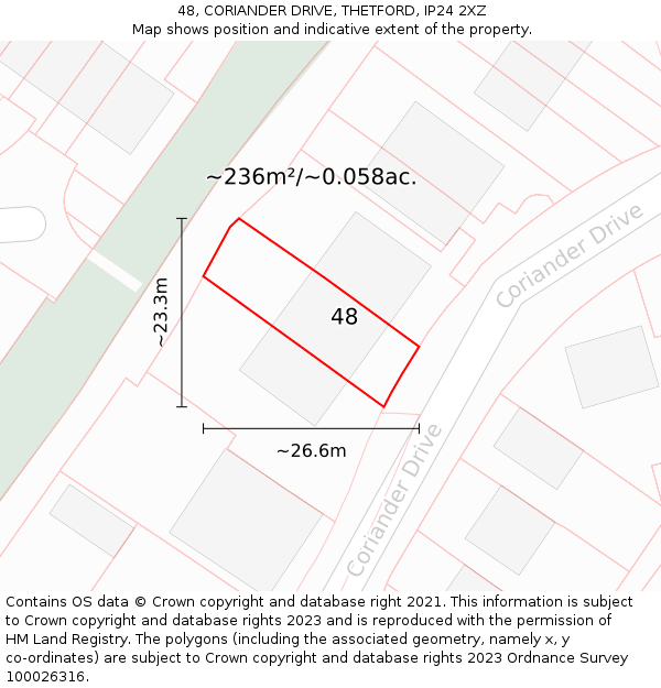 48, CORIANDER DRIVE, THETFORD, IP24 2XZ: Plot and title map