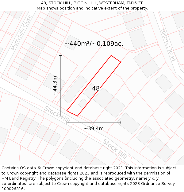 48, STOCK HILL, BIGGIN HILL, WESTERHAM, TN16 3TJ: Plot and title map