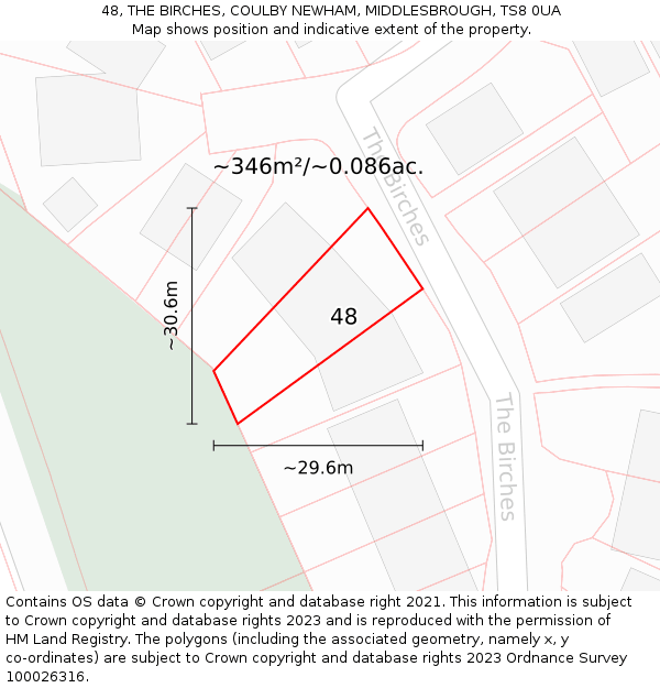 48, THE BIRCHES, COULBY NEWHAM, MIDDLESBROUGH, TS8 0UA: Plot and title map