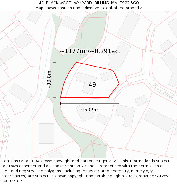 49, BLACK WOOD, WYNYARD, BILLINGHAM, TS22 5GQ: Plot and title map