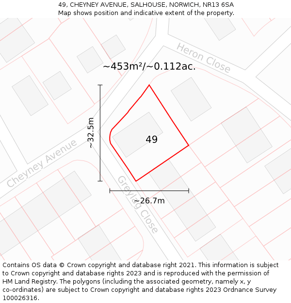 49, CHEYNEY AVENUE, SALHOUSE, NORWICH, NR13 6SA: Plot and title map