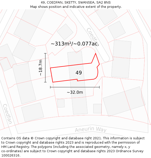 49, COEDFAN, SKETTY, SWANSEA, SA2 8NS: Plot and title map