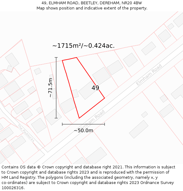 49, ELMHAM ROAD, BEETLEY, DEREHAM, NR20 4BW: Plot and title map