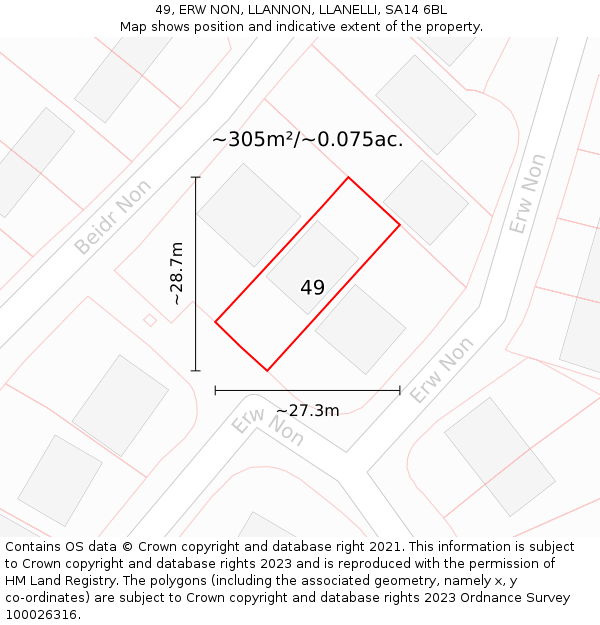 49, ERW NON, LLANNON, LLANELLI, SA14 6BL: Plot and title map