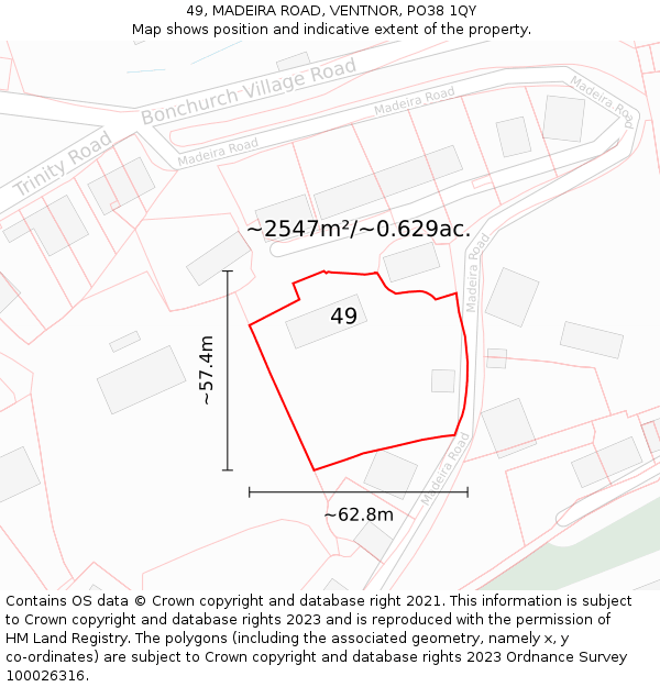 49, MADEIRA ROAD, VENTNOR, PO38 1QY: Plot and title map