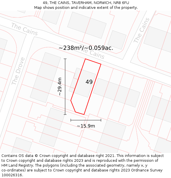 49, THE CAINS, TAVERHAM, NORWICH, NR8 6FU: Plot and title map