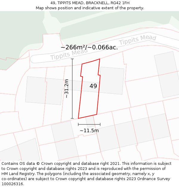 49, TIPPITS MEAD, BRACKNELL, RG42 1FH: Plot and title map