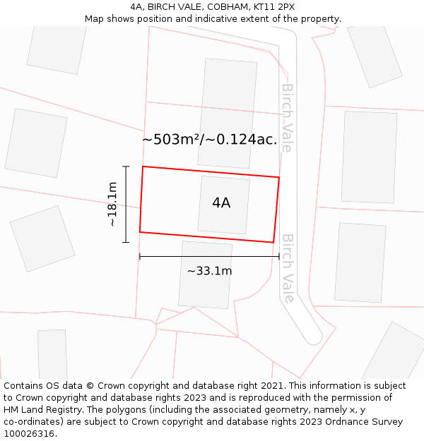 4A, BIRCH VALE, COBHAM, KT11 2PX: Plot and title map
